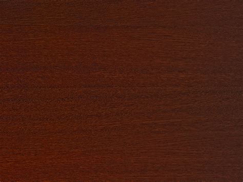 Dark brown wood texture Photograph by Miroslav Nemecek - Fine Art America