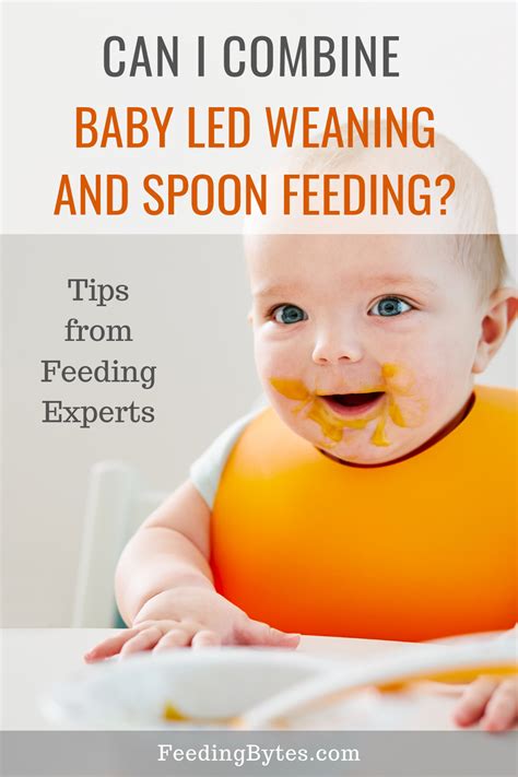 Wondering if you should start solids for your baby with baby led weaning, spoon feeding purees ...