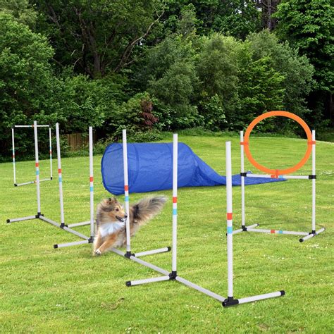 Pawhut 5 Piece Outdoor Game Dog Agility Training Equipment Set Agility Starter Kit Jumping Ring ...