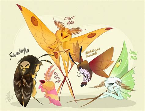 Moths by VivzMind on deviantART | Moth art, Creature design, Creature drawings