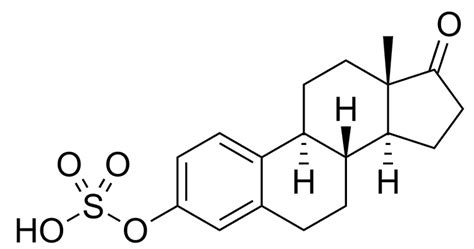 Esterified estrogens - Wikiwand