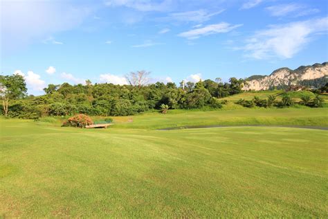 Green grass on a golf field 10409741 Stock Photo at Vecteezy