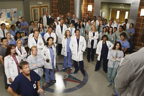 Grey's Anatomy - Grey's Anatomy Photo (8284205) - Fanpop