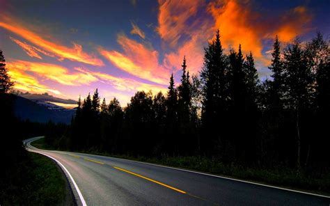 Download Orange (Color) Sky Sunset Silhouette Forest Tree Man Made Road HD Wallpaper