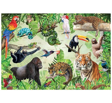 Insight Editions Rainforest Animals Puzzle 500pcs - Puzzles Canada