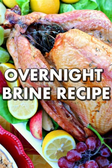 Easy Overnight Turkey Brine Recipe | Scrappy Geek