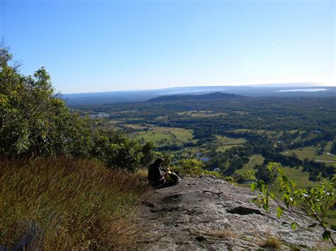 Bushwalking on the Sunshine Coast, Queensland.: Climbing Mount Cooroy