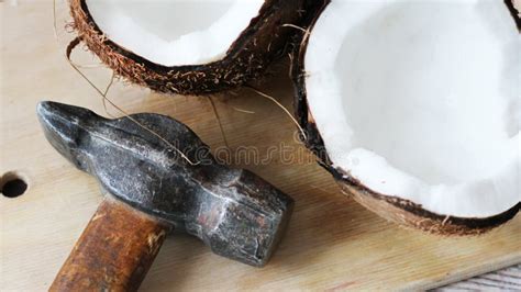 A Coconut Lies Broken Open with the Hammer Nearby. Stock Image - Image of fiber, freshness ...