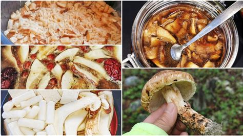 Matsutake recipes | 菌中之王 - 松茸 - YouTube