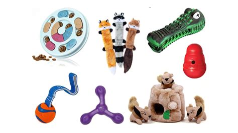 12 best toys for dogs, recommended by experts - Care.com Resources