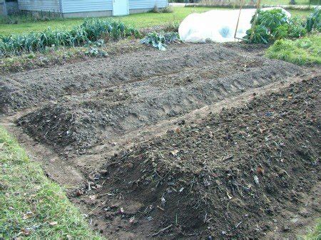 Raised Beds Can Help Weed Control | The CobraHead Blog