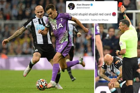 Newcastle legend Alan Shearer slams Jonjo Shelvey's 'stupid stupid ...