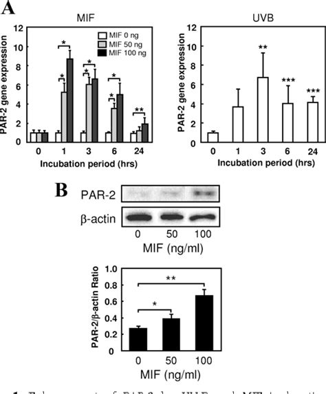 Growth Factors , Cytokines , and Cell Cycle Molecules UV-B Radiation Induces Macrophage ...