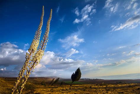 UN Hosts Exhibition Of Israeli Nature Photos