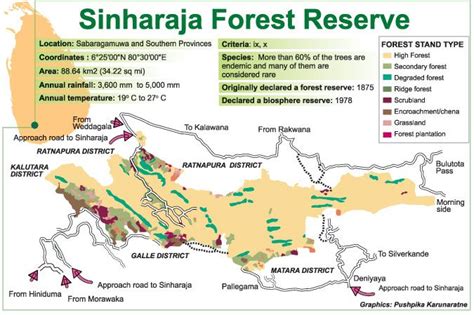 Pin on Bird and Wildlife Watching | Forest reserves, Eco lodge ...