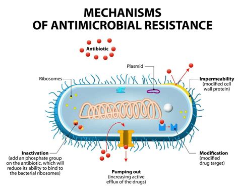 Roche doubles down in Fight against Antibiotic Resistance