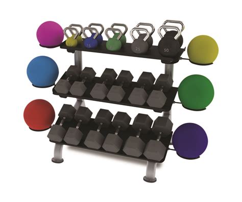 3-Tier Flat Tray Dumbbell Rack | TRUE Fitness | Dumbbell rack, At home gym, Gym room at home