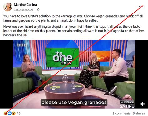 Fact-check | Altered Video of Greta Thunberg Advocating 'Vegan Grenades in Wars' Goes Viral