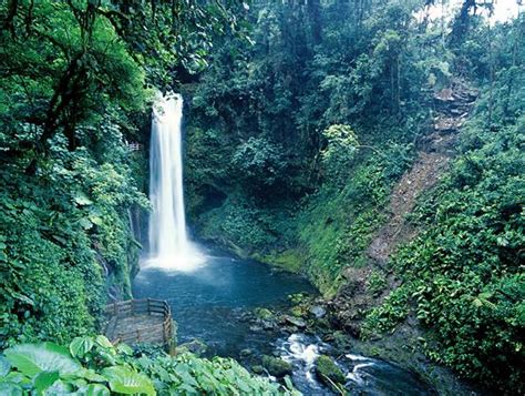 Costa Rica waterfall in the rainforest - Honey + Lime