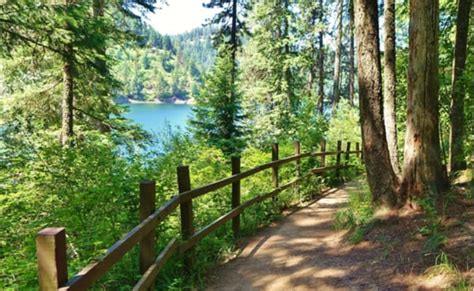 The 9 Best Hikes Near Coeur d’Alene, Idaho in 2024 | Idaho travel, Coeur d'alene, Montana road trips