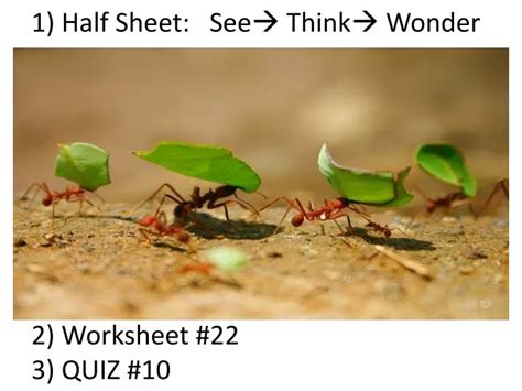 PPT - 1) Half Sheet: See Think Wonder 2) Worksheet #22 3) QUIZ #10 ...