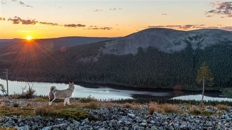 Ylläs - First by Nature | Visit Finnish Lapland