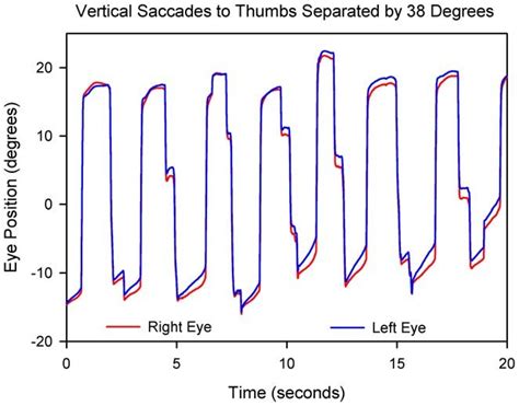 Vertical saccades made by P8 to his (unseen) thumbs located at ...