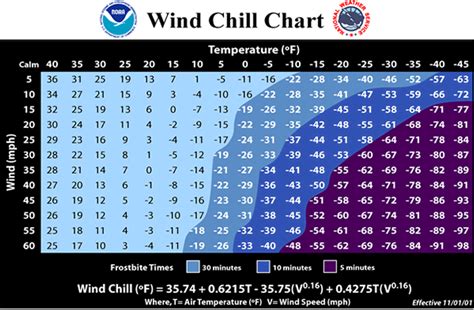 Wind-Chill Factor – Body Physics: Motion to Metabolism