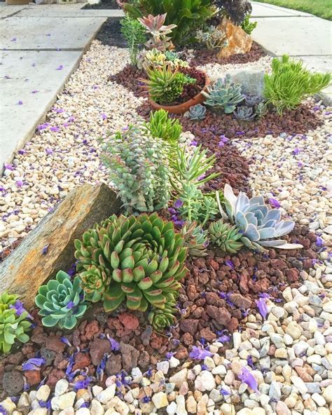 20+ Succulent Design Front Yard