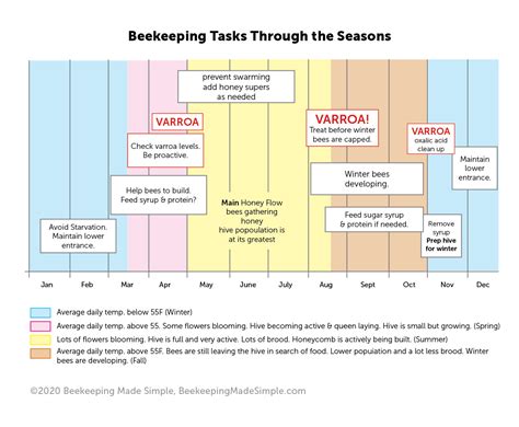 A Guide to Seasonal Beekeeping Tasks. Free Chart to Download!