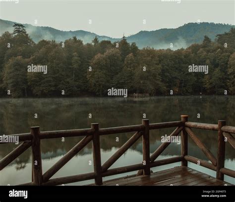 Beautiful forest landscape with wooden bridge Stock Photo - Alamy