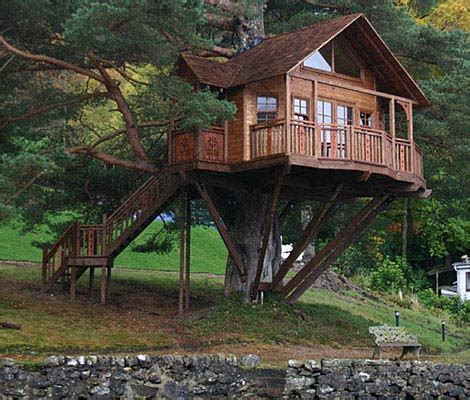 | Tree Houses | House on Trees | Sweet Tree Houses | Beautiful Tree Houses | Amazing Tree Houses ...