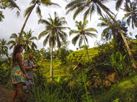 Rice terraces #ubud #bali Ubud, Rice Terraces, Bali, Decks, Rice