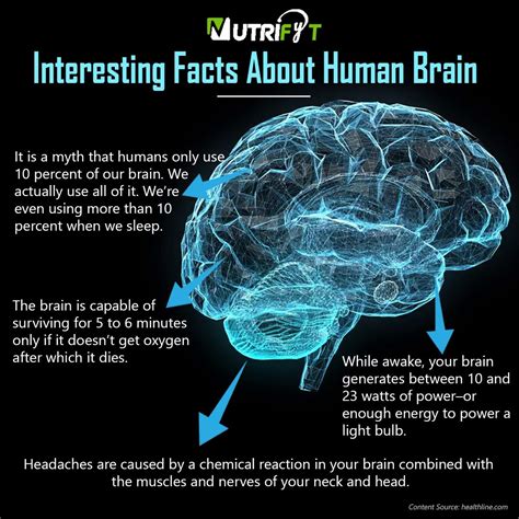 Interesting Facts About Human Brain | Ciencia y conocimiento, Consejos para la salud, Energía ...