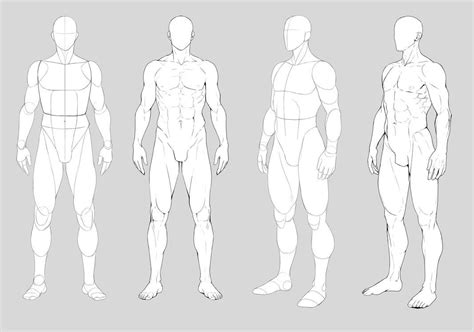 Male anatomy by https://precia-t.deviantart.com on @DeviantArt | Figure drawing reference, Human ...