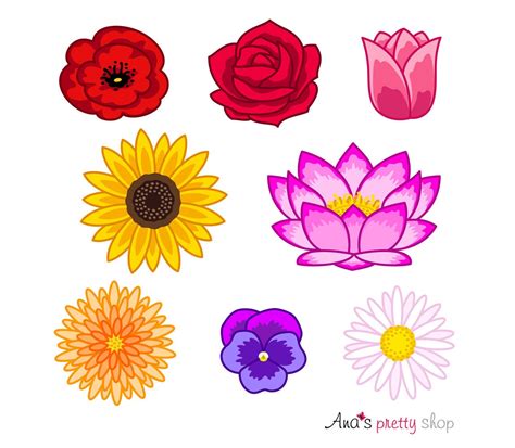 Silbermedaille Clipart Flowers