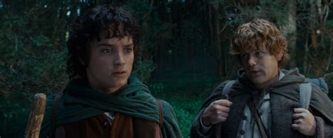 LOTR: Fellowship of the Ring - Frodo & Sam Photo (36084225) - Fanpop