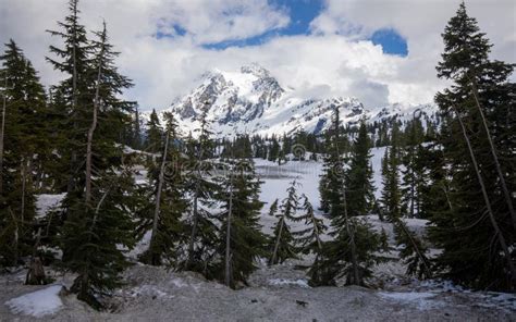 Snow Covered Mountains, Mt. Shuksan, in Spring in Washington State ...