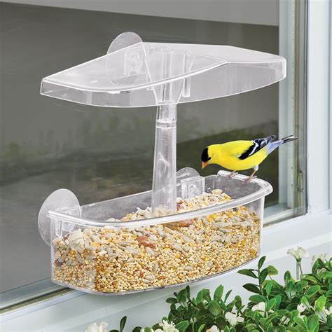 Easy-to-Install Clear Suction Cup Window Bird Feeder | Collections Etc.