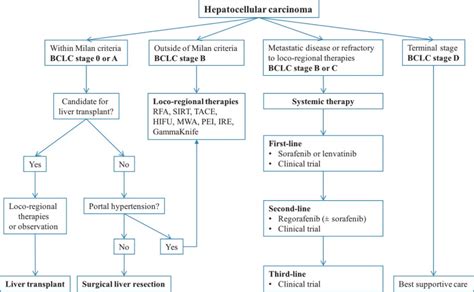 Figure 1, Treatment algorithm for hepatocellular carcinoma (). - Hepatocellular Carcinoma - NCBI ...