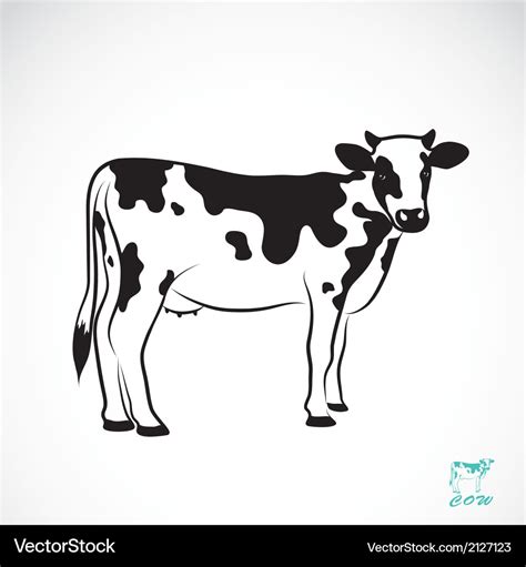 Cow Royalty Free Vector Image - VectorStock