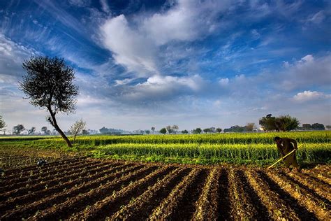 Agriculture, Farm, Landscape, Nature, Sky, Countryside, Pakistan, Field ...