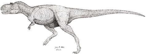 Albertosaurus Pictures & Facts - The Dinosaur Database