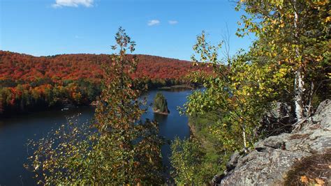 Fall colors at Oxtongue Lake. Dorset Ontario, Beaver Dam, Algonquin Park, Landscape Artist ...