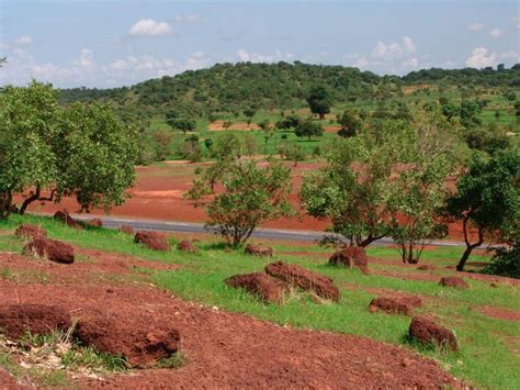 El Sahel, más verde gracias al calentamiento del Mediterráneo