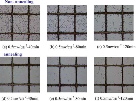 Polarizing microscope photographs of phase separation structure formed... | Download Scientific ...