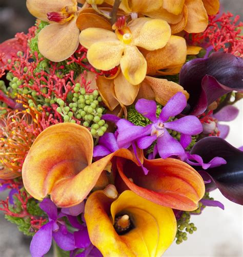 the daily petal: Distinctive Tropical Bouquet