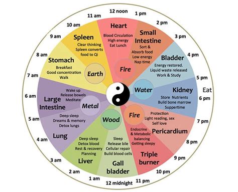 Meet the Chinese Body Clock: Is this Why You're Waking Up at Night? | Chinese body clock, Body ...