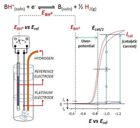 New technique allows scientists to directly compare catalysts' efficiency in different situations