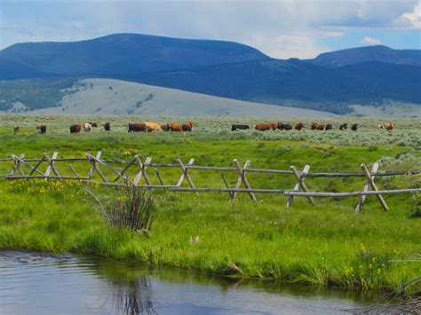 Beyond the Banks: Collaborative Conservation in Montana's Big Hole ...